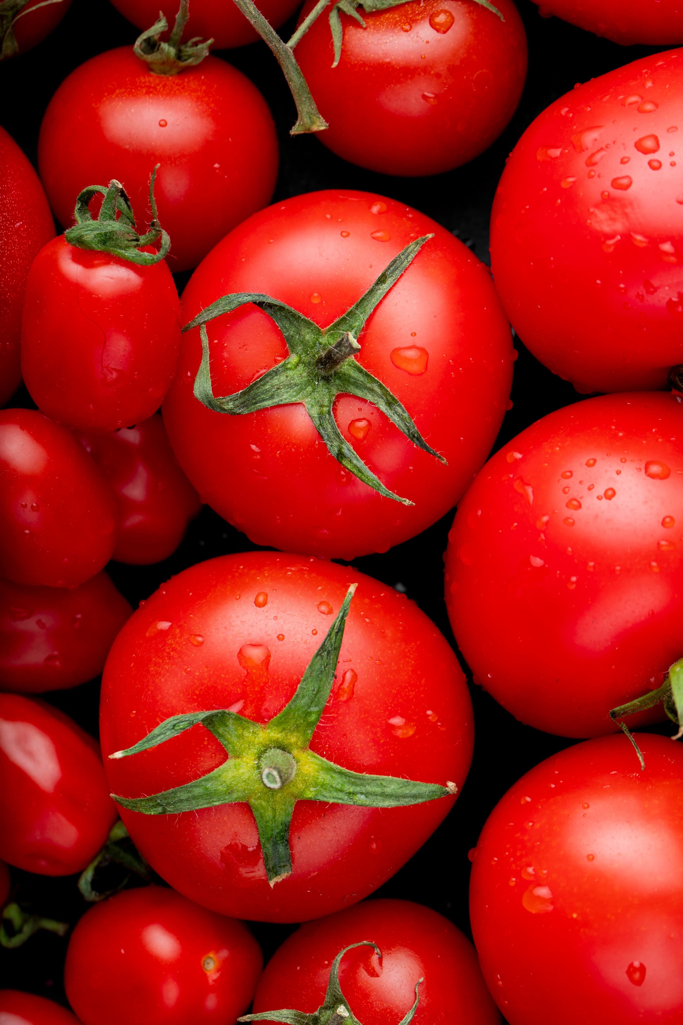 Tomato