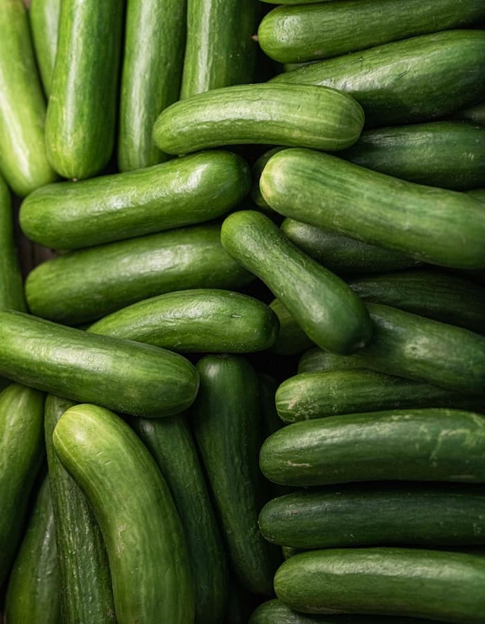 Salad Cucumber