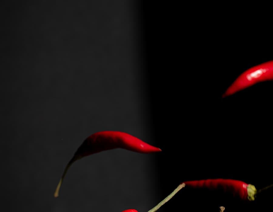 Scotch Bonnet