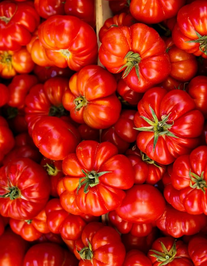 Tomato