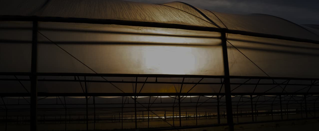 Pearl Gro greenhouse structure at golden hour